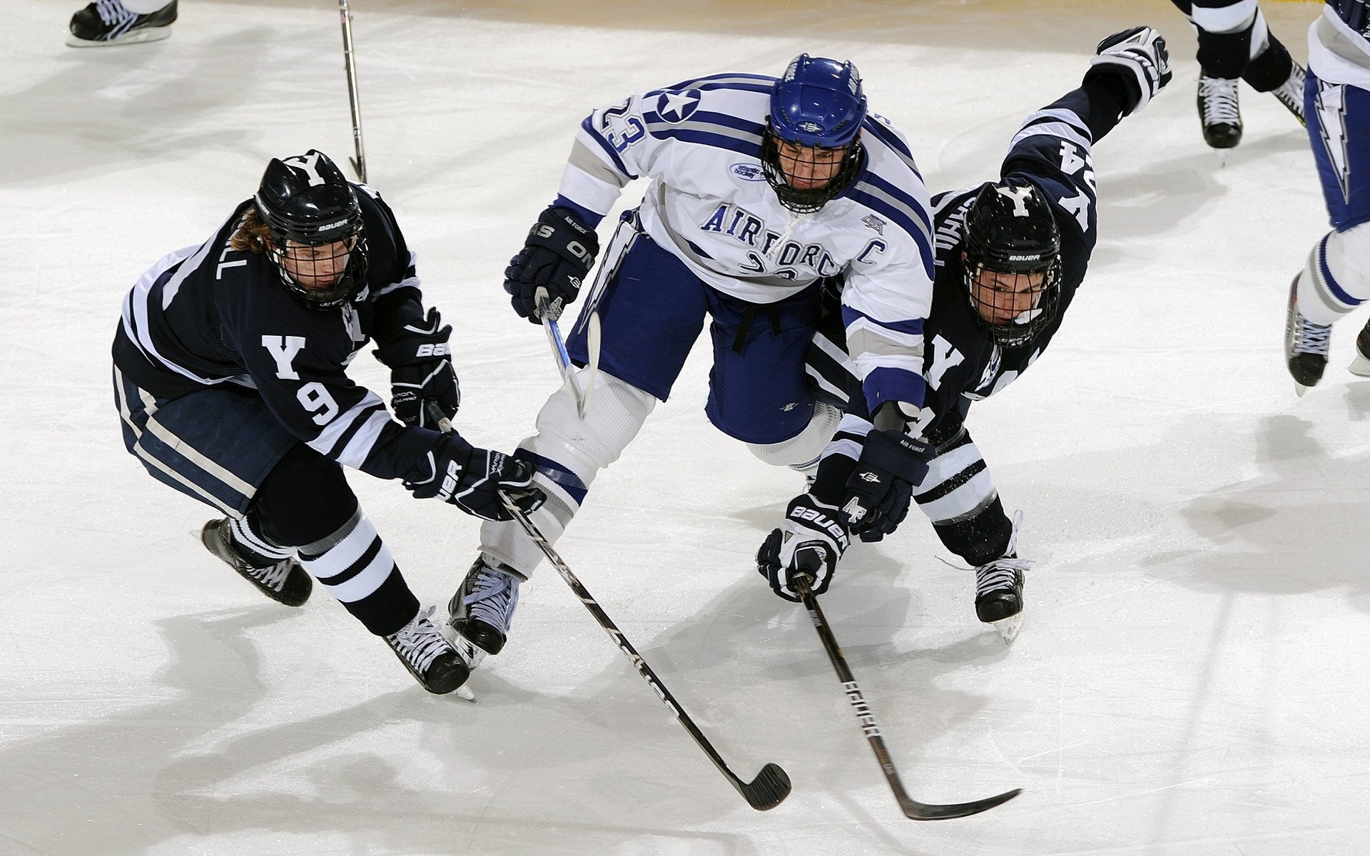 哥伦比亚马术协会举办国际马术科技大会,推动行业技术交流与合作。