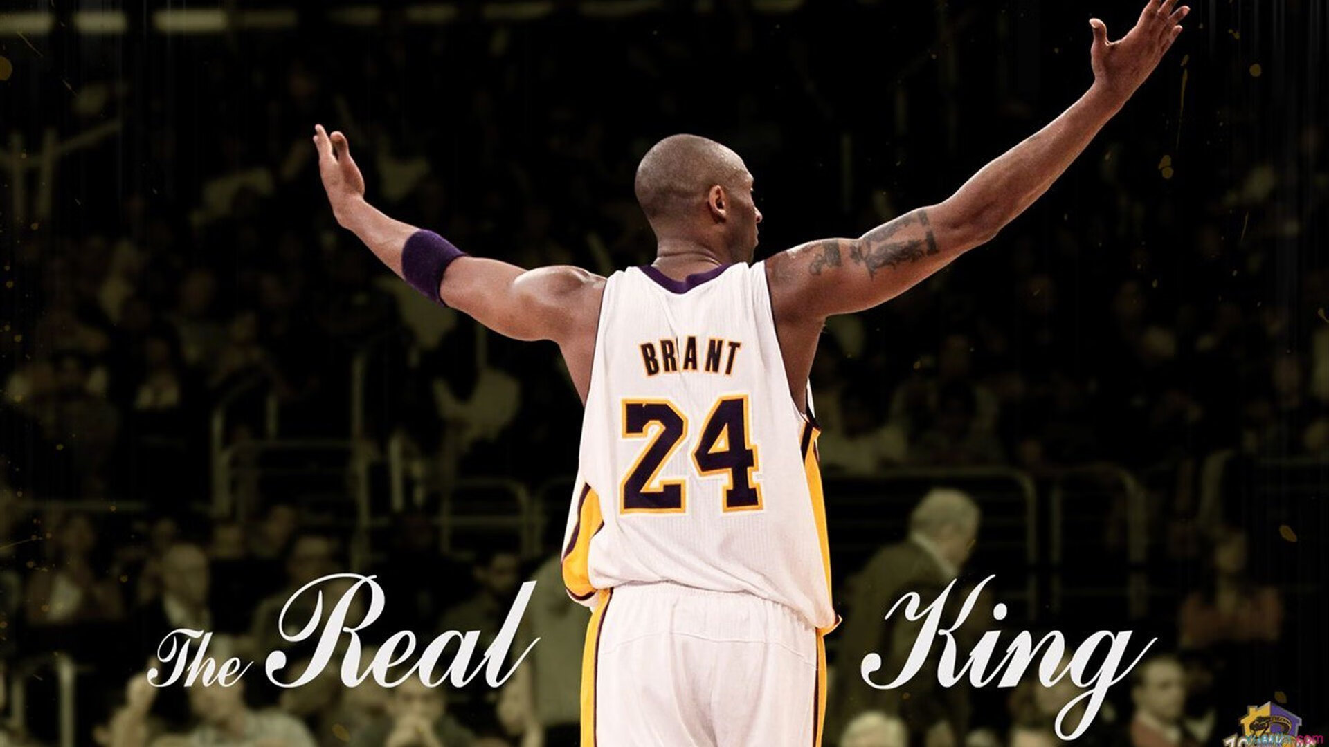 新秀训练营火热开幕,球员潜力巨大的新星出现,新秀怎么样